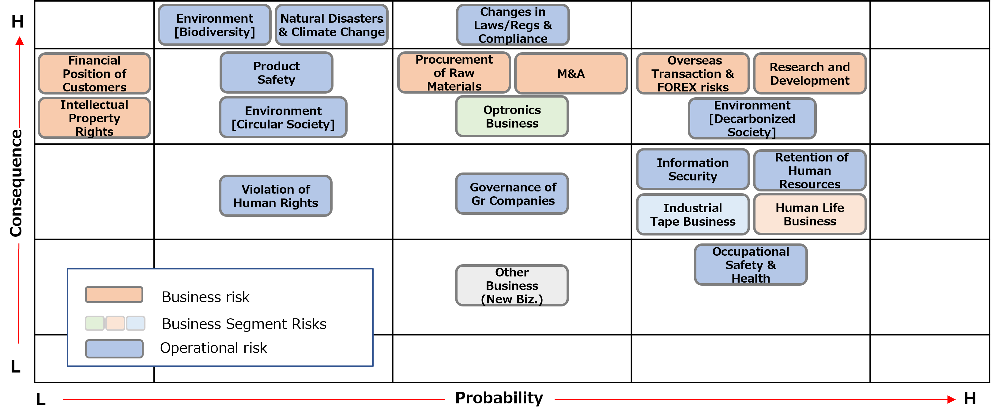 Risk map of the current fiscal year