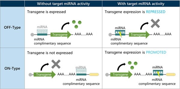 Figura 1 – RNA Switch – Panoramica