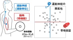 Flexible sensor functions_001