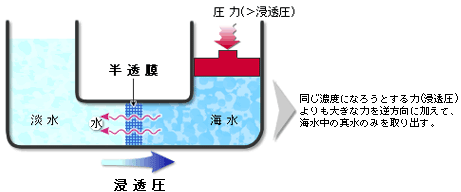 【中古】 生でおいしい水道水 ナチュラルフィルターによる緩速ろ過技術/築地書館/中本信忠 生でおいしい水道水: ナチュラルフィルターによる緩速ろ過技術
