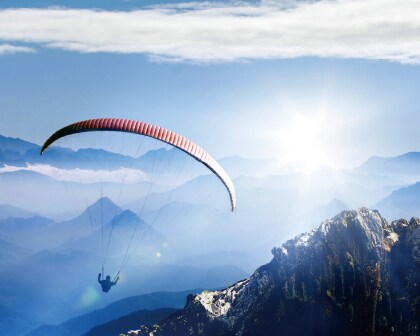 Nittoグループ統合報告書